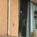 머슬데몬 | 근황