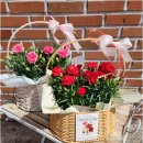 꽃담은 | 세상에 단 하나뿐인 성주꽃배달, 꽃을담은시간 이용후기