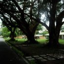 폰타나리조트 이미지