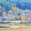 한송오토캠핑장 이미지