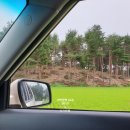 소나무수산 이미지