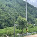 [강원도 오토캠핑장] 개별 화장실이 있는 라만차의 돈키호테 캠핑장