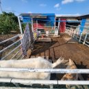 연세농장 이미지