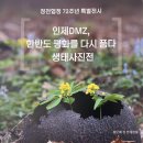 인제도서