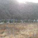 해미레 이미지