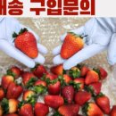 푸드 인 시스템 이미지