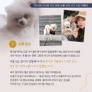 견물화식 이미지
