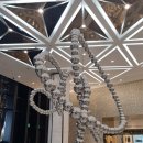 걷기의 미학과 도시 | [마카오 여행] 건축과 예술의 만남_모르페우스 &amp; MGM 코타이 방문 후기