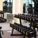 PT의 품격 이미지