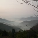 달보드레 이미지