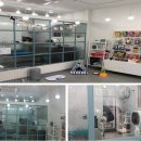 스위티독 이미지