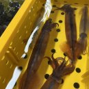 덕화상회 이미지