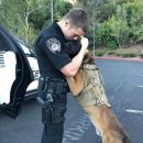 휴먼터치 이미지