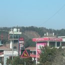 벚꽃길(에덴) 주유소 | 가평 에덴벚꽃길 솔직 후기…