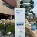 카우치존, 오두막존에서 놀기 | 속초 소노캄 델피노 오션플레이 일요일 방문 후기
