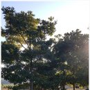 창선농장 이미지