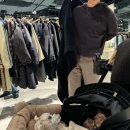 누우띠 | 🐶강아지유모차💛로얄테일즈, 헤리스펫 , 누우띠 구매 후기 2024일산 메가주 방문 후기