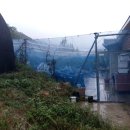 비안농장 이미지