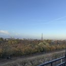 메디시스 | [유럽 여행 13일차] 파리 시청-노트르담 성당-셰익스피어 앤 컴퍼니-룩셈부르크 공원-오랑주리 미술관