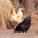 동해슈퍼 이미지