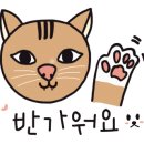 두잇투릿 이미지