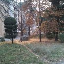 시영공인중개사사무소 이미지
