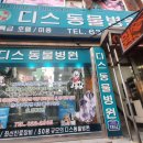 디스동물병원 이미지