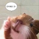 흥성양꼬치 이미지