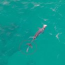 종달로가 이미지