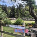 영한목장 이미지