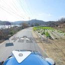 대일부동산중개사무소 이미지