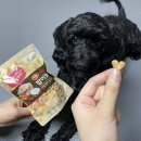 호두 펫푸드 이미지