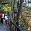 황산2구경로당 이미지