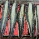 풍천장어 이미지