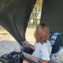 낭만애견 이미지