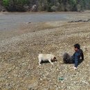 눈부시개 이미지