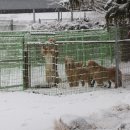 올림푸스원 이미지