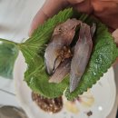 강진수산 - 1360 | 강진수산
