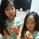 그릭요것 이미지