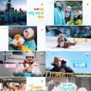산지고고