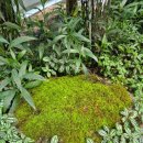 환호농장 이미지