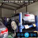 진아카센타 이미지