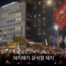 오얏 이미지