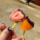 취암동 시민운동장 | 2024 논산 딸기 축제 다녀온 후기(애견 동반, 먹거리 소개)