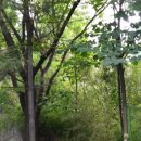 골드라인공인중개사사무소 이미지