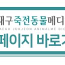 정 메디컬 동물병원 이미지