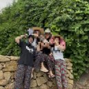 스테이 팔랑 이미지