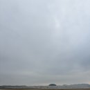 기쁨뜰펜션 | 태안 맛조개 잡이 체험, 아이랑 실패 없이 잡는 명당 팁! (ft. 별주부 마을 내돈내산 솔직후기)