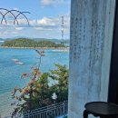 더봄애견 | 여수여행 애견동반 오션뷰 펜션 다시,봄 펜션 솔직 리얼 후기🔥