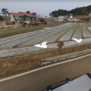 태안부동산중개사무소 이미지